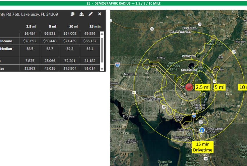 DEMOGRAPHIC RADIUS